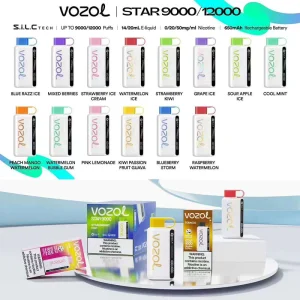 Vozol Star 12000 Puffs Disposable Vape in UAE
