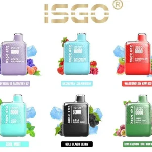 ISGO New York 8000 Puffs Disposable Vape