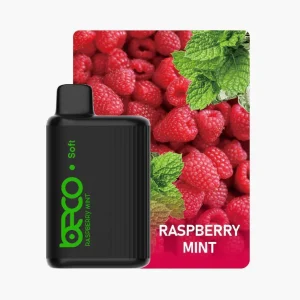 BECO Soft 6000 Puffs Disposable Vape BECO Soft 6000 Puffs Disposable Vape near to me