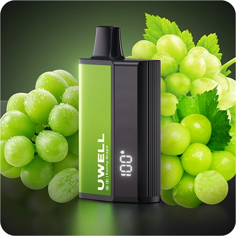 UWELL DL SMART MASTER 8000 PUFFS - Image 2
