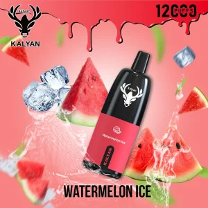 Kalyan 12000 Puffs Disposable Vape in Dubai UAE Kalyan 12000 Puffs Vape