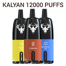 Kalyan 12000 Puffs Disposable Vape in Dubai UAE